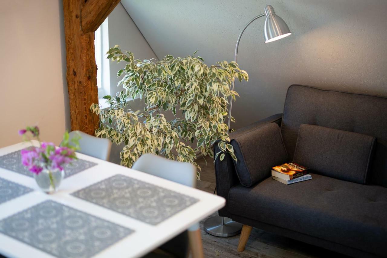 Klimatyzowany Apartament W Mragowie Mrągowo Kültér fotó