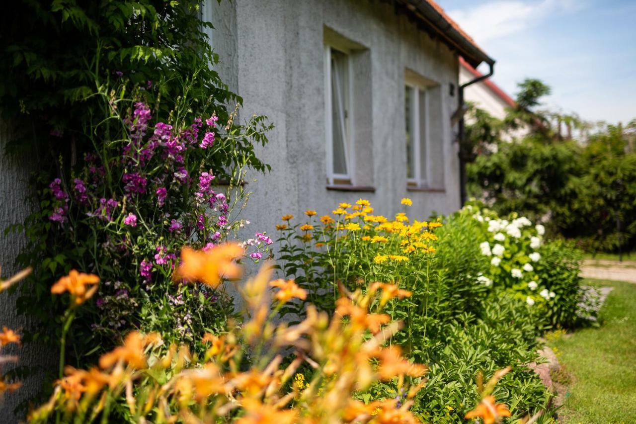 Klimatyzowany Apartament W Mragowie Mrągowo Kültér fotó